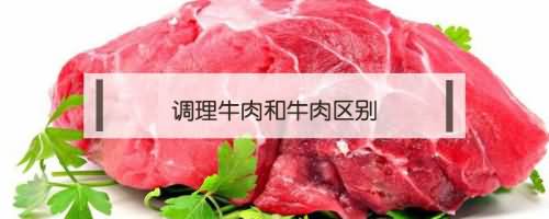 调理_调理牛肉是什么意思