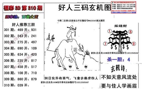 二四六图片玄机_二四六每期图片玄机资料图