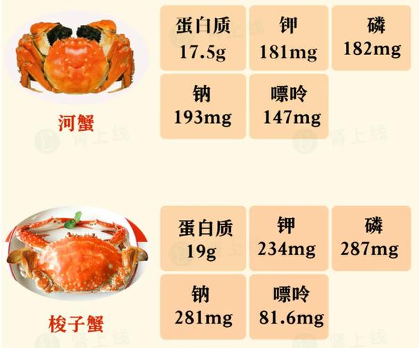 螃蟹的营养价值_螃蟹的营养价值及功效