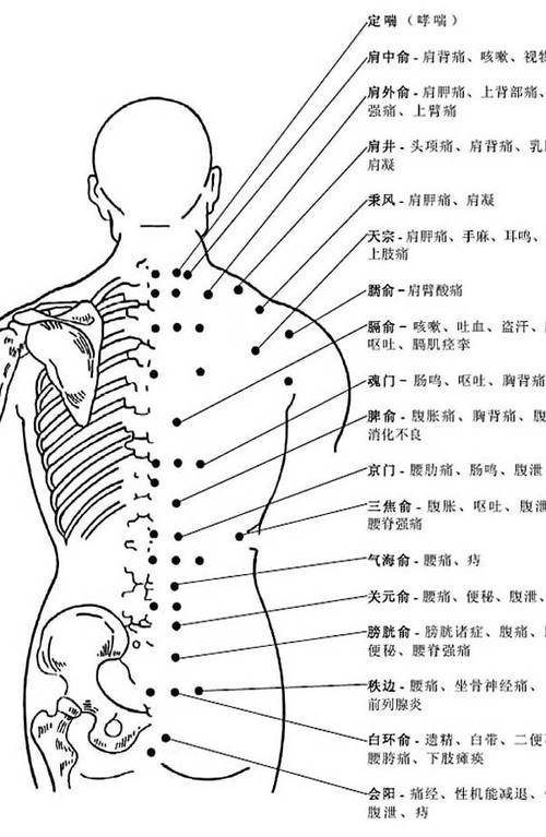 穴位按摩图_人体按摩准确位置图和作用