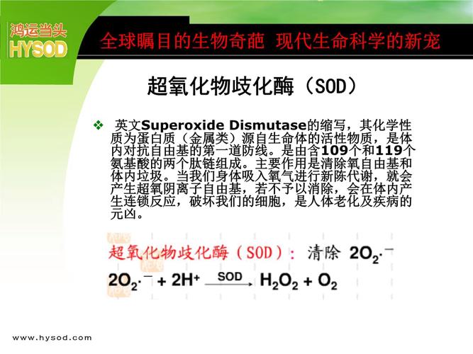 超氧化物歧化酶_超氧化物歧化酶的作用与功效