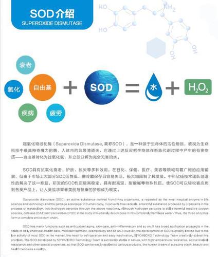 超氧化物歧化酶_超氧化物歧化酶的作用与功效