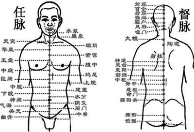 任督二脉图_任督二脉图解