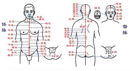 任督二脉图_任督二脉图解