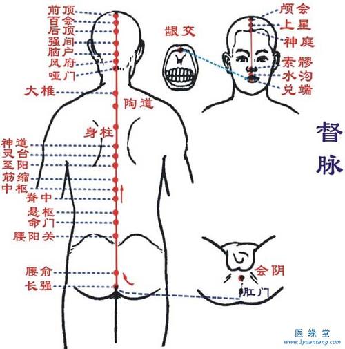 任督二脉图_任督二脉图解