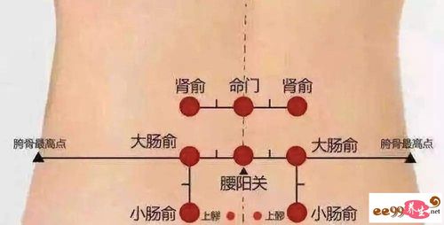 肾俞的准确位置定位_命门肾俞的准确位置定位