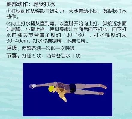 自由泳换气_自由泳换气技巧口诀