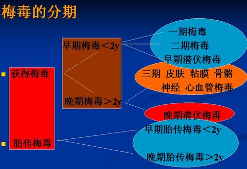 霉毒的传播途径_梅毒的传播途径有哪些