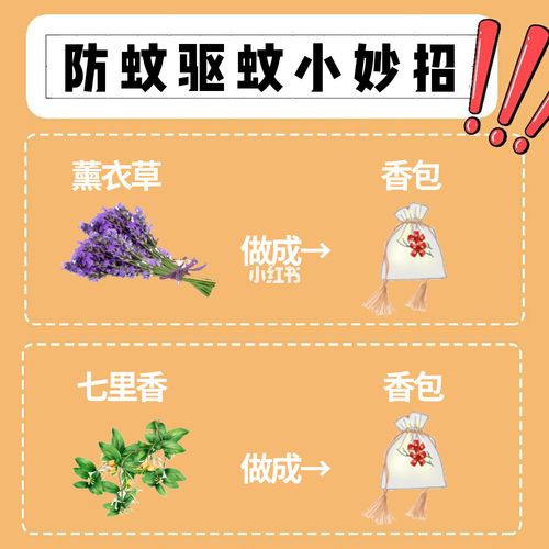 驱蚊方法_驱蚊方法是