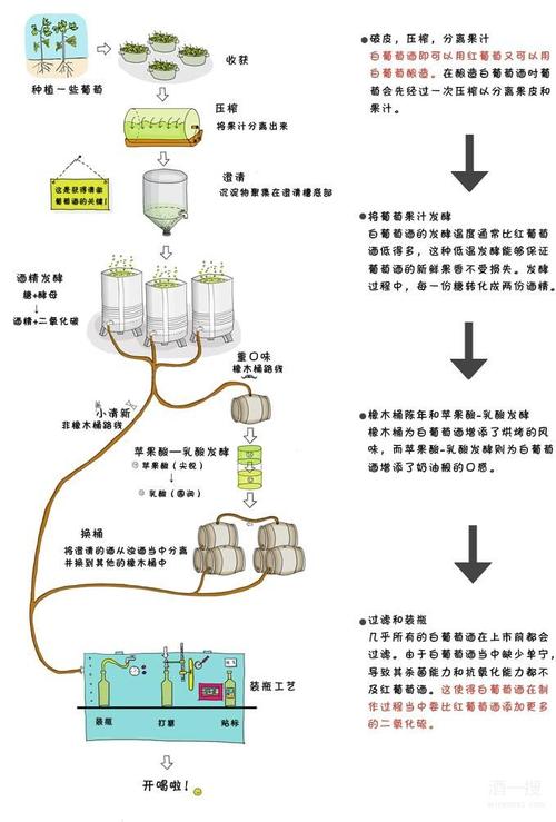 酿葡萄酒的方法_酿葡萄酒的方法步骤视频