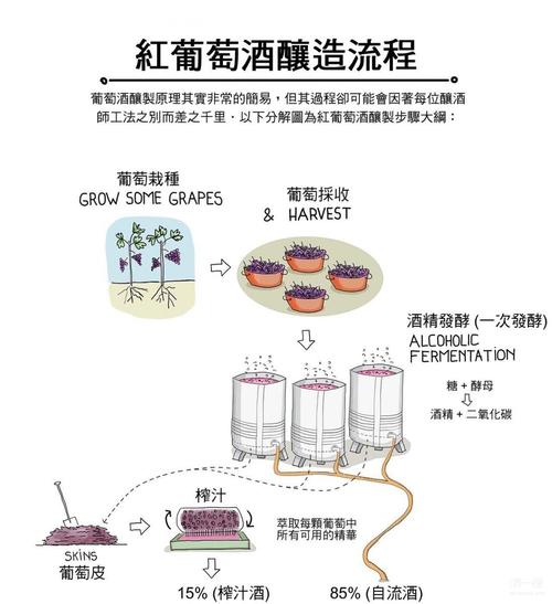 酿葡萄酒的方法_酿葡萄酒的方法步骤视频