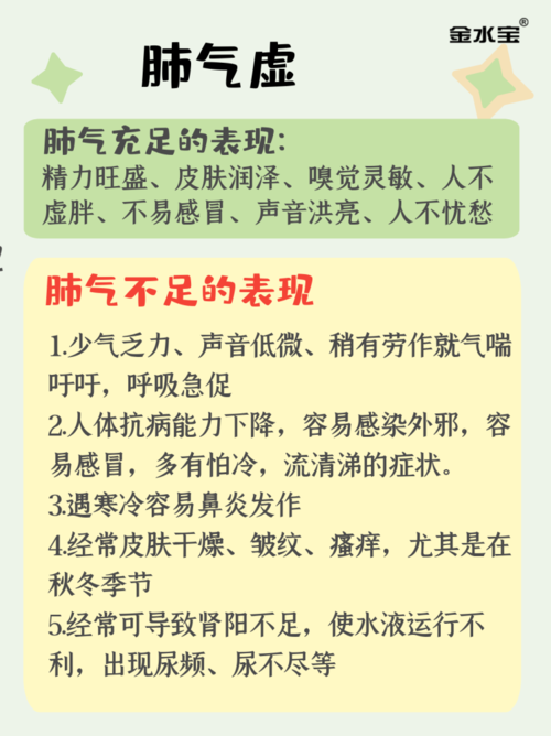 肺气虚_肺气虚的人怎么调理