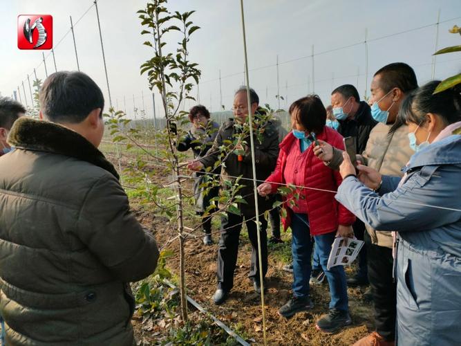 苹果树下_苹果树下培训机构