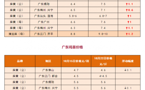 肉鸡的价格_肉鸡的价格和市场行情