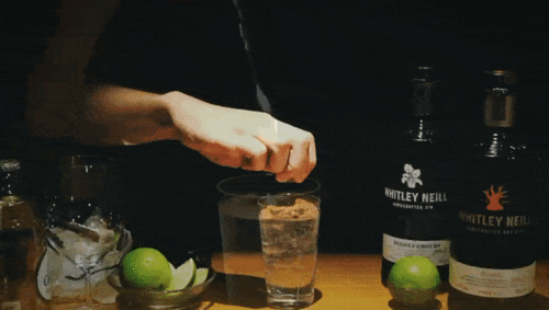 gintonic_gintonic鸡尾酒做法