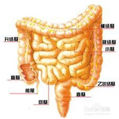 结肠炎的早期症状_结肠炎的早期症状表现