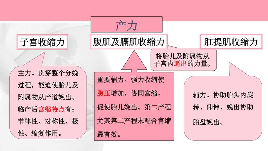 产力_产力包括什么