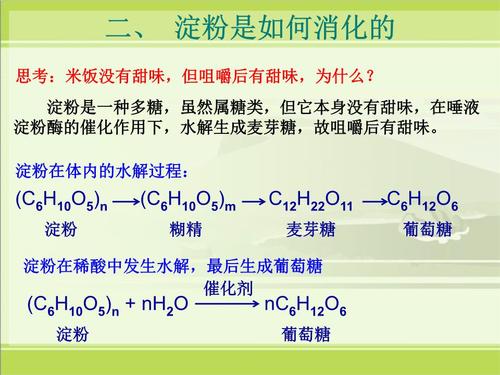 淀粉是什么_淀粉是什么的重要成员它是我们身体能量的主要来源