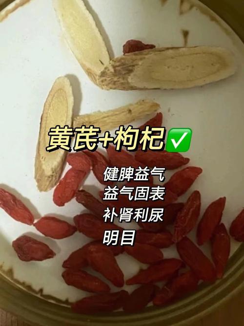 黄芪泡水喝的功效与作用禁忌_黄芪泡水喝的功效与作用禁忌枸杞加什么泡水喝