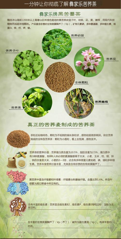 黑苦荞茶_黑苦荞茶的功效和作用还有适用人群