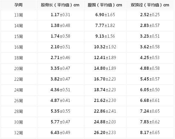 股骨长是什么意思_股骨长是什么意思对照表