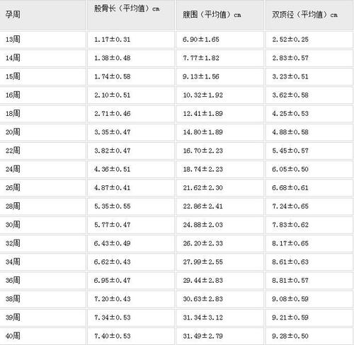 股骨长是什么意思_股骨长是什么意思对照表