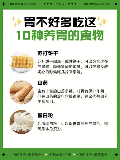 养胃食品_养胃食品十大排名