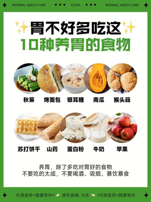 养胃食品_养胃食品十大排名