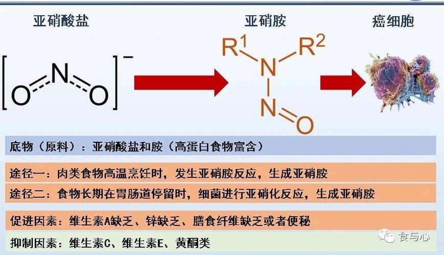 亚硝酸盐的作用_亚硝酸盐的作用与用途