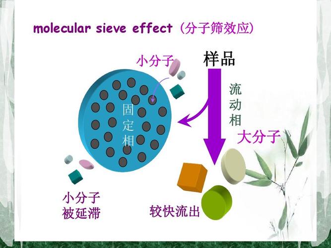 分子筛效应_