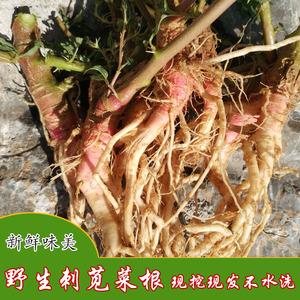 野苋菜_野苋菜根的药用价值