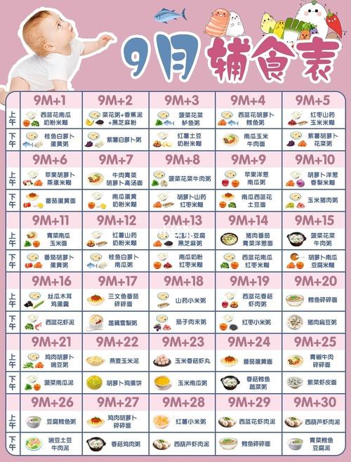 9个月宝宝_9个月宝宝辅食食谱一天安排表