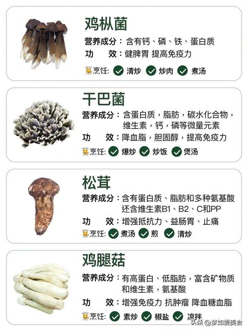 菌菇_菌菇类的营养价值及功效