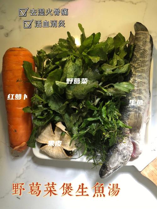 野葛菜_野葛菜煲什么汤好