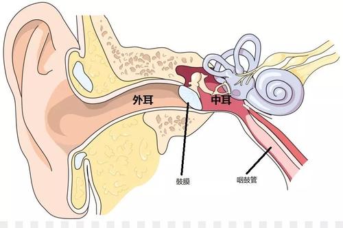 中耳炎的治疗方法_慢性中耳炎的治疗方法