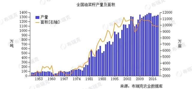 菜籽出油率_菜籽出油率是多少