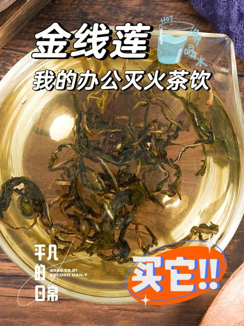 蒲公英茶可以天天喝吗_蒲公英茶可以天天喝吗伤肾吗