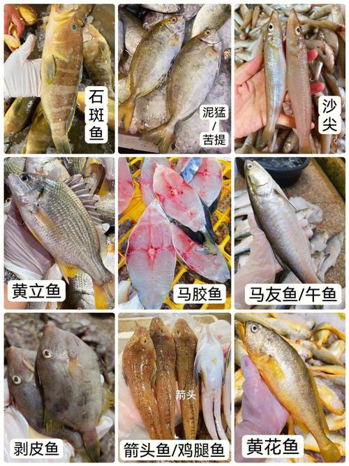 海鱼大全_食用海鱼大全