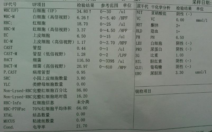 白细胞高是什么原因造成的_尿液白细胞高是什么原因造成的