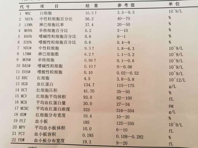 白细胞高是什么原因造成的_尿液白细胞高是什么原因造成的