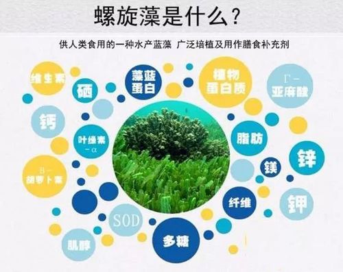 螺旋藻的吃法_螺旋藻的吃法和用量是多少