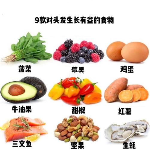 生发的食物_生发的食物有哪些