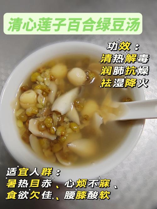 绿豆汤做法_降火绿豆汤的做法