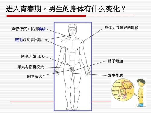 男孩青春期的特征_男孩青春期的特征是什么