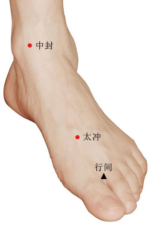 太冲穴位位置图_补肾壮阳多按摩6个部位