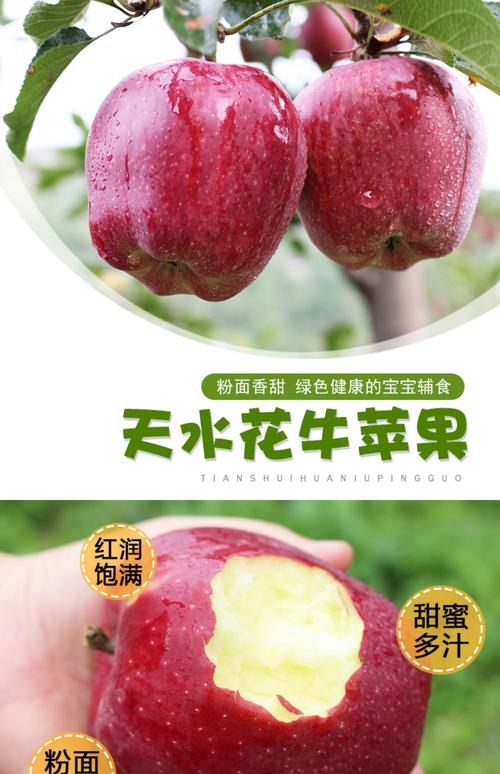 花牛苹果_花牛苹果的营养价值及功效