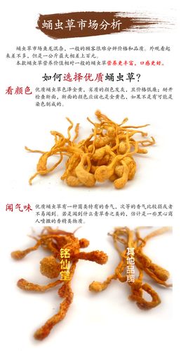 蚕虫草_蚕虫草的功效与作用