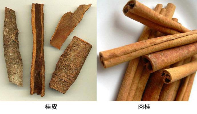 孕妇桂皮_孕妇桂皮的功效与作用及禁忌