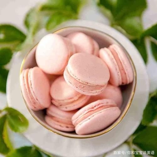 macaron_macaroni是什么意思