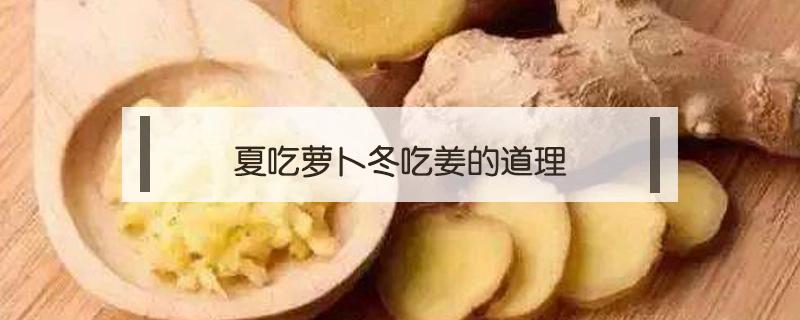 冬吃萝卜夏吃姜_冬吃萝卜夏吃姜下一句谚语是什么